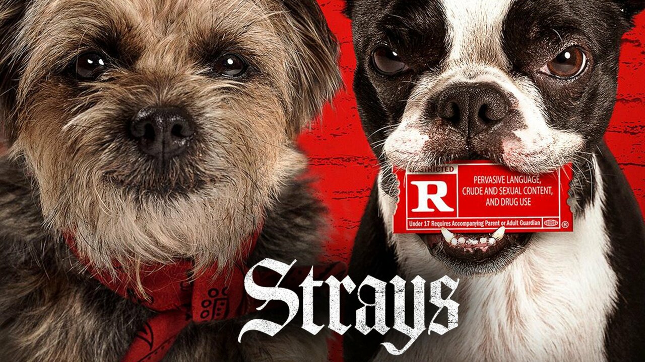 Lạc Đường - Strays